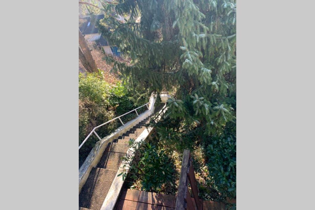 Ferienwohnung Carmen Im Schoenen Lahr Lahr  Dış mekan fotoğraf